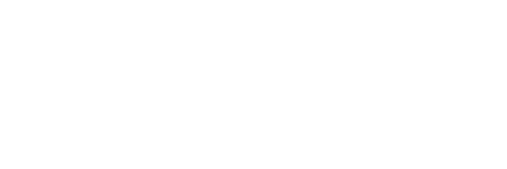 Partner Microsoft